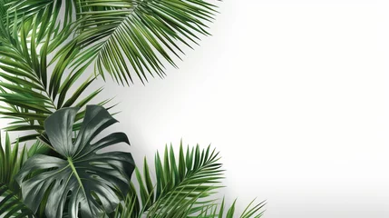 Fotobehang Palm leaves, isolated on white, Generative ai © Deep Ai Generation