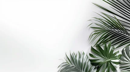 Fotobehang Palm leaves, isolated on white, Generative ai © Deep Ai Generation