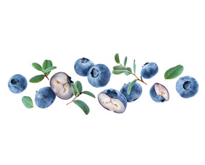 Ripe whole and sliced blueberries with leaves close up in the air isolated on white background