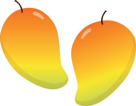 mango fuit vector illustration