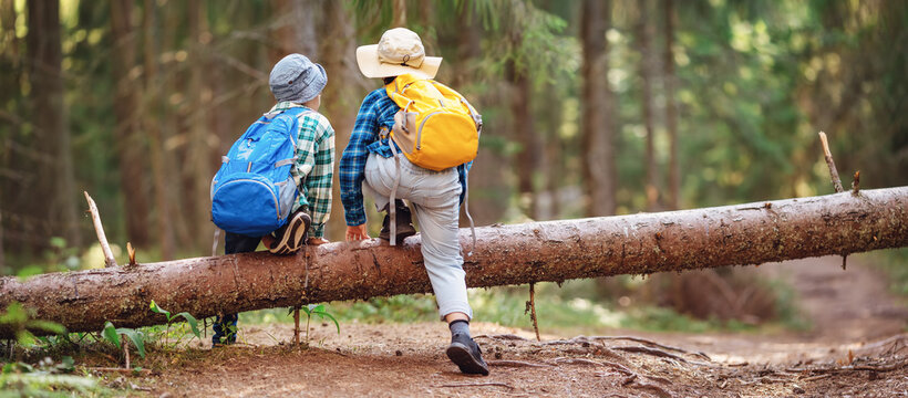 Two boys climbing over a fallen tree in the forest.