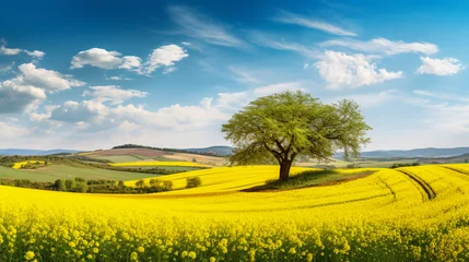 Foto auf Acrylglas Gelb Beautiful view Tuscan landscape