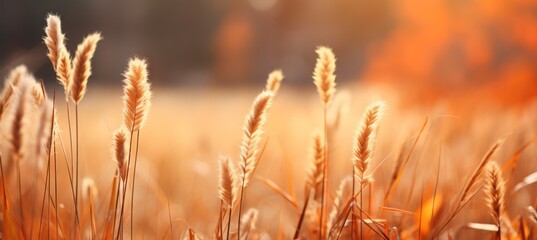 Wheat crop field nature background. Generative AI technology.