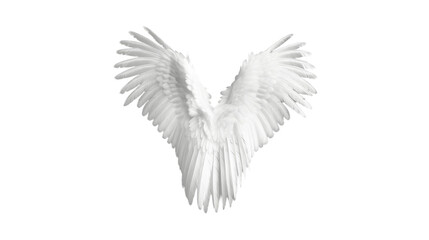 Obraz premium Transparent Angelic Elegance: Flying White Angel Wing - Captivating Stock Image for Sale. Transparent background