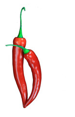 red hot chili peppers isolated on transparent background, PNG.