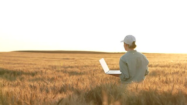 Female farmer with laptop walking through wheat field at sunset