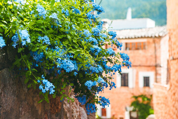 View of a medieval street in the Old Town of the picturesque Spanish-style village Fornalutx, Majorca or Mallorca island