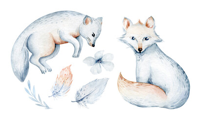 watercolor illustration of a baby polar foxes isolated on a white background. Arctic fox water world animals. antarctic ocean wildlife