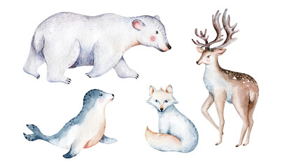 Naklejka premium polar arctic animals watercolor collection set. snowy owl. reindeer. polar bear and fox, penguin, walrus. seal. hare. whale