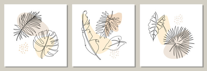 Set of abstract templates with tropical leaves. Line art, pastel colors. Banana, palm, monstera, alocasia, philodendron leaves. Square posters, covers, wall art. Vector. © Oksana_Skryp