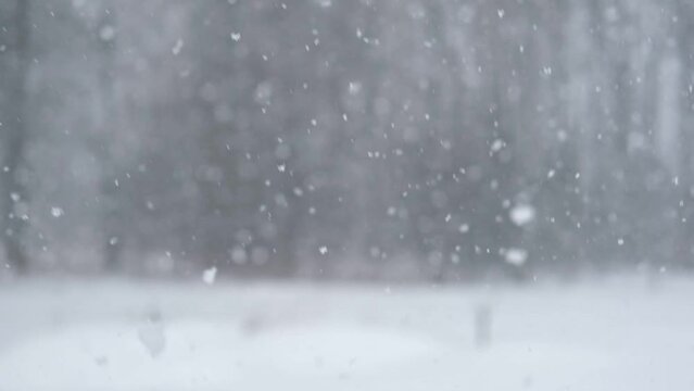 Blur of Heavy snowfall. Beautiful forest landscape of snow and trees. Gently falling snow flakes. Bad snowy weather cold day. Winter nature background. Nobody, No People, Super Slow motion. Snowstorm