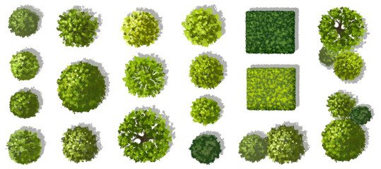 Vector set of Top view green tree for outdoor plan or map and architecture drawing, watercolor elements for environment and garden,botanical elements  © Wattanapong