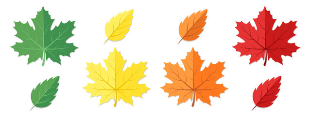 Red, green, yellow and orange autumn leaves isolated on white background.