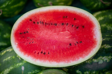 Many big ripe sweet green watermelons market