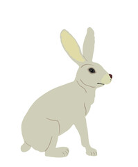 Rabbit vector illustration isolated on white background. Rodent animal symbol. Easter holiday symbol. Hare cute herbivore.