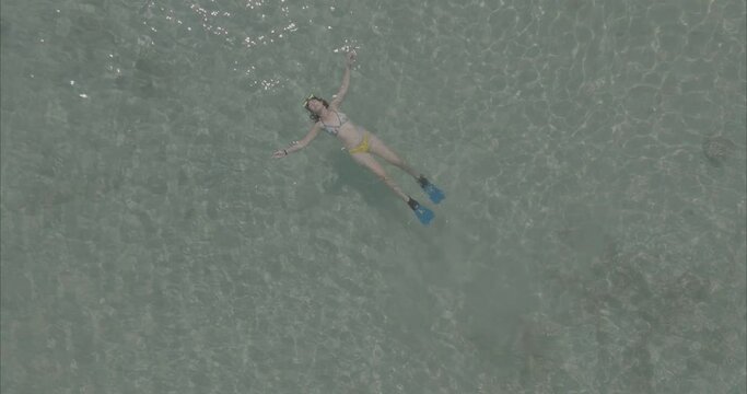 Chica buceando nadando en la playa mar ( log footage ) 