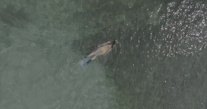 Chica buceando nadando en la playa mar ( log footage ) 