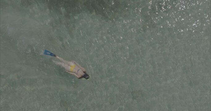 Chica buceando nadando en la playa mar ( log footage ) 