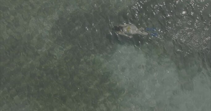 Chica buceando nadando en la playa mar ( log footage ) 