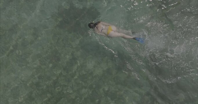 Chica buceando nadando en la playa mar ( log footage ) 