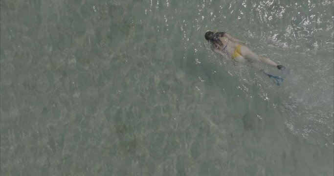 Chica buceando nadando en la playa mar ( log footage ) 