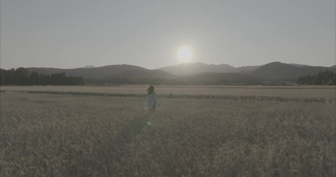Chica andando por atardecer por el campo de trigo ( log footage )