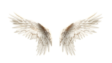 angel wings on transparent background PNG