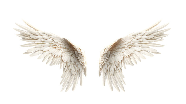 angel wings on transparent background PNG