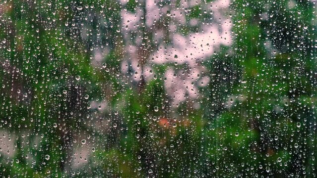 watching rain falling from window 