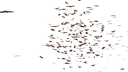 group of flying bats isolated on transparent background