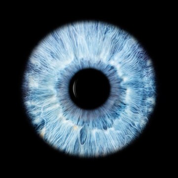 IRIS EWP