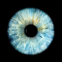 IRIS EWP