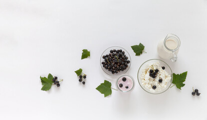 Ripe garden blackcurrants and summer organic dairy products for breakfast. Jug of milk, bowl of...