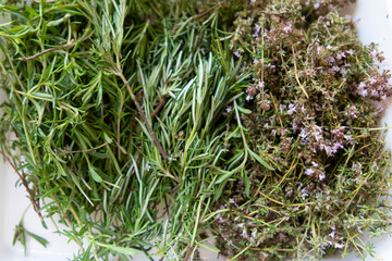 cueillette de romarin et de thym sauvage
