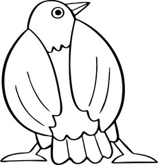 hand drawn bird illustration.