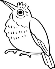 hand drawn bird illustration.