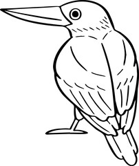 hand drawn bird illustration.