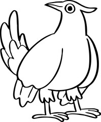 hand drawn bird illustration.