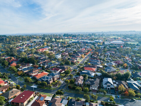 Aerial view of morning light over autumn tree dotted streets of Australian city suburb
