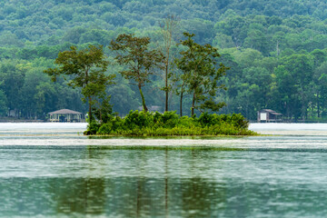 Small Island in Tennessee River 