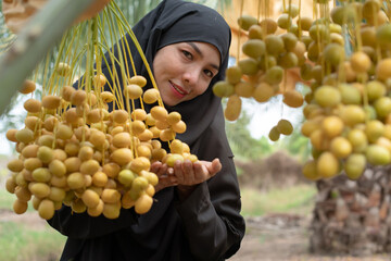 Obraz premium Muslim woman in black hijab with Date palm, Muslim woman is happy to show the satisfying farm produce, selective focus