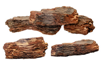 large pieces of tree bark for soil mulching, decor