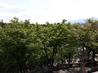 일본 청수사 풍경