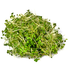Broccoli microgreens on white background