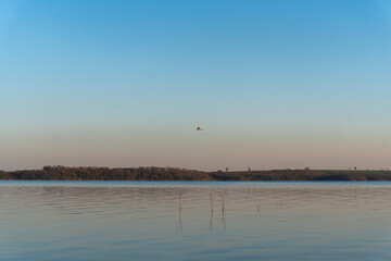 Sunset on the river with birds and plants
