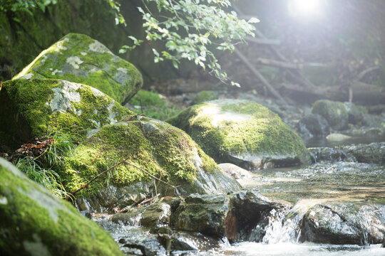 Hikari Sasu Gorge Beautiful Japanese mountain stream with green and moss in Japan