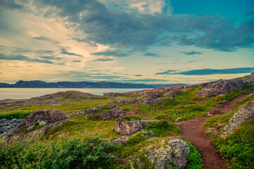 Fototapeta na wymiar The picturesque coast of the Barents Sea.