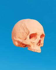 Human skull peach rose pink blue sky sunlight head anatomy wallpaper 3d illustration render digital rendering