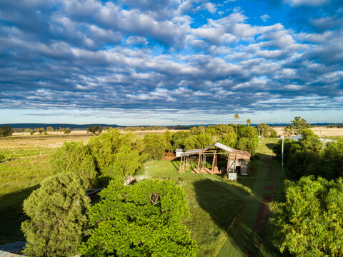 Sunlit view over treetops to lopsided hayshed on country farm