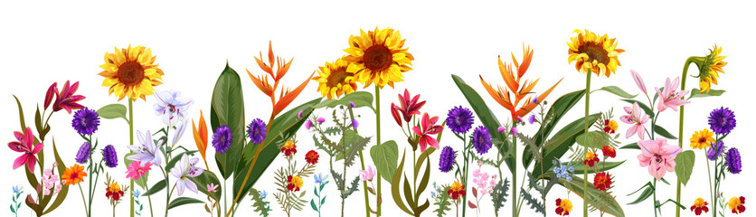 Horizontal autumn's border: sunflower, aster, thistle, gerbera, marigold, daisy, heliconia flowers on white background. Digital draw, realistic illustration in watercolor style, panoramic view, vector